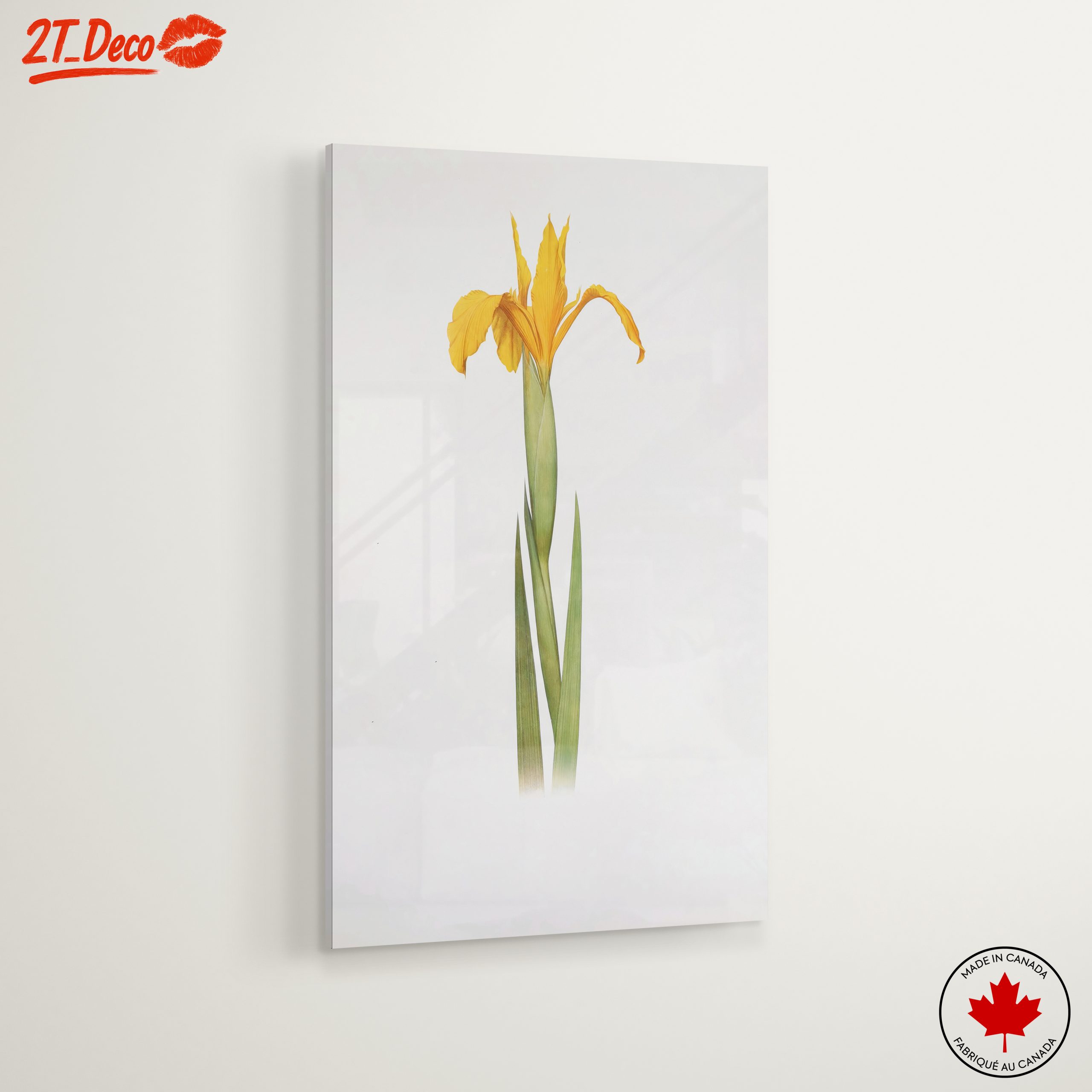 Yellow Iris Flower Botanical Art - Image 6