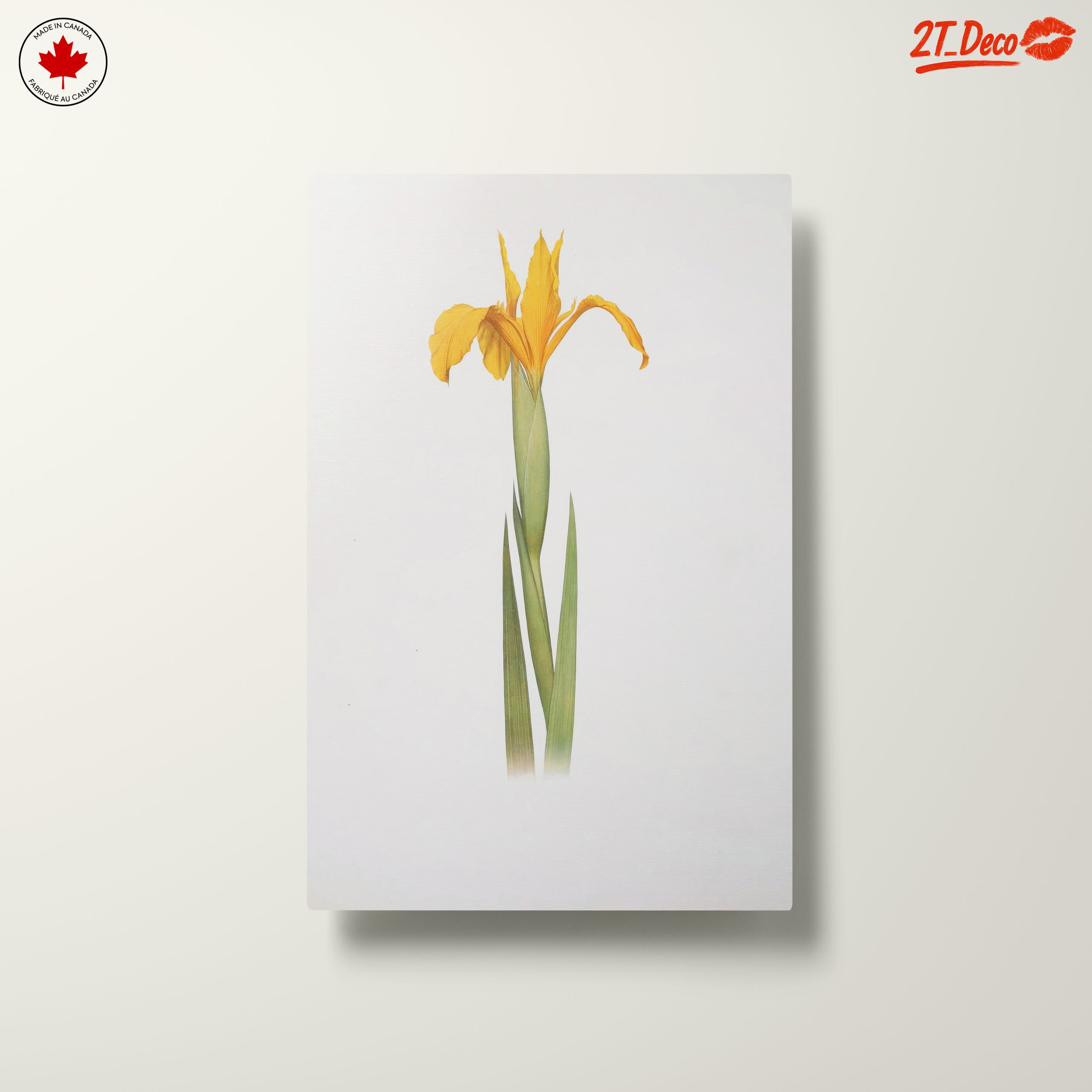 Yellow Iris Flower Botanical Art - Image 10