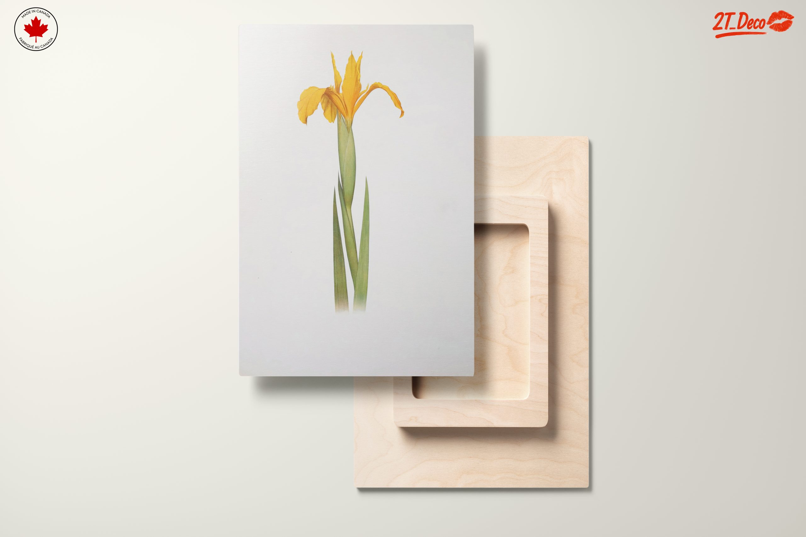 Yellow Iris Flower Botanical Art - Image 11