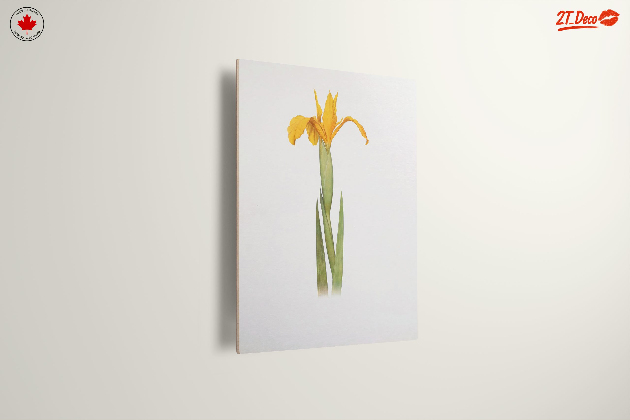 Yellow Iris Flower Botanical Art - Image 13