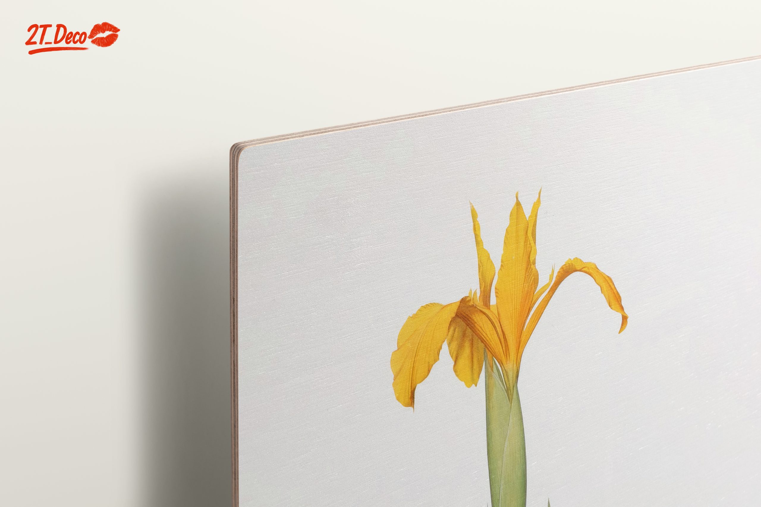 Yellow Iris Flower Botanical Art - Image 15