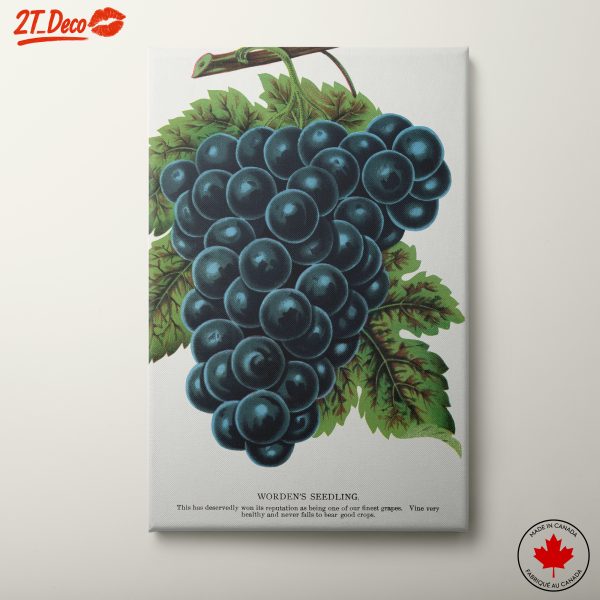 Abstract Grapes Art For Home Decor
