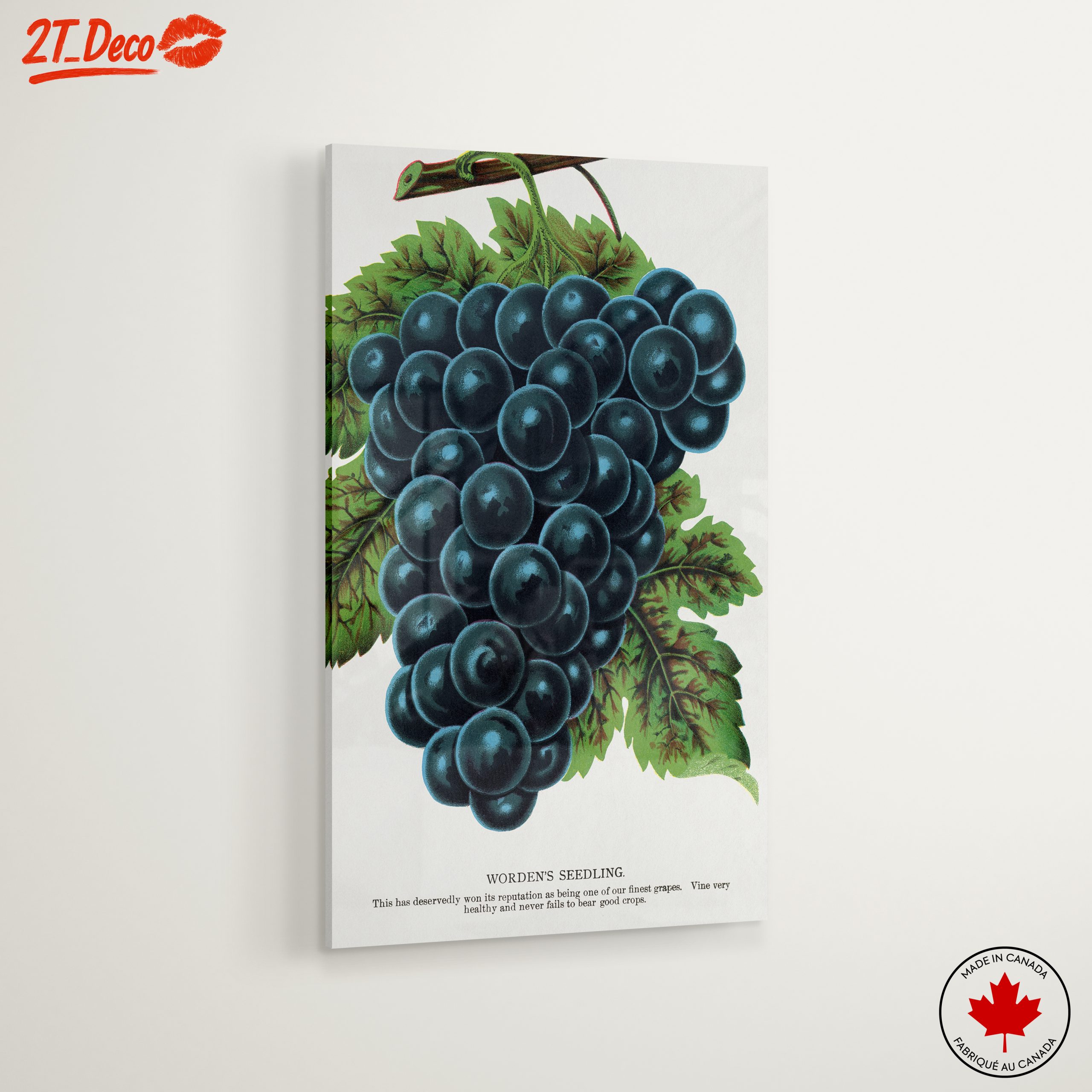Abstract Grapes Art For Home Decor - Image 6