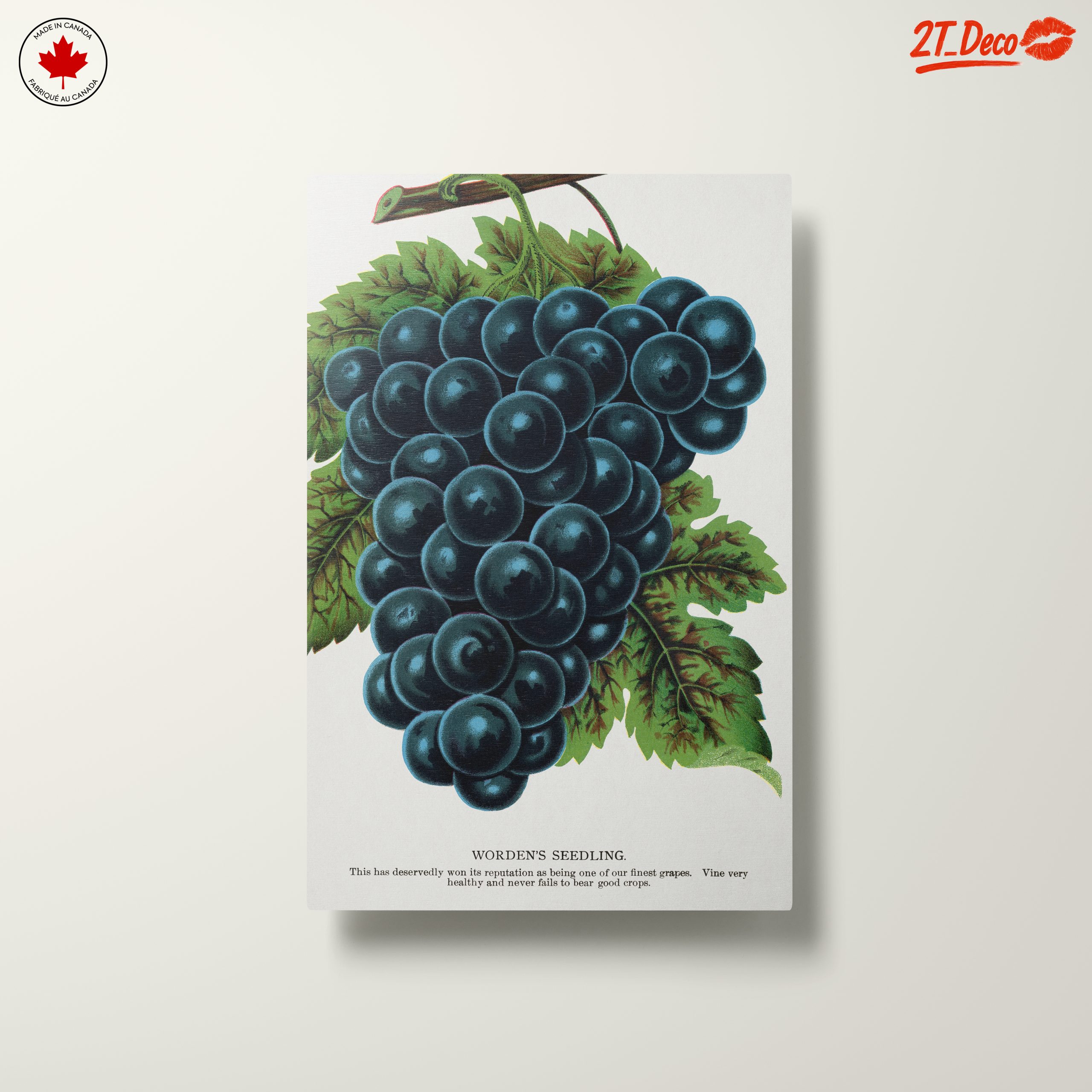 Abstract Grapes Art For Home Decor - Image 10