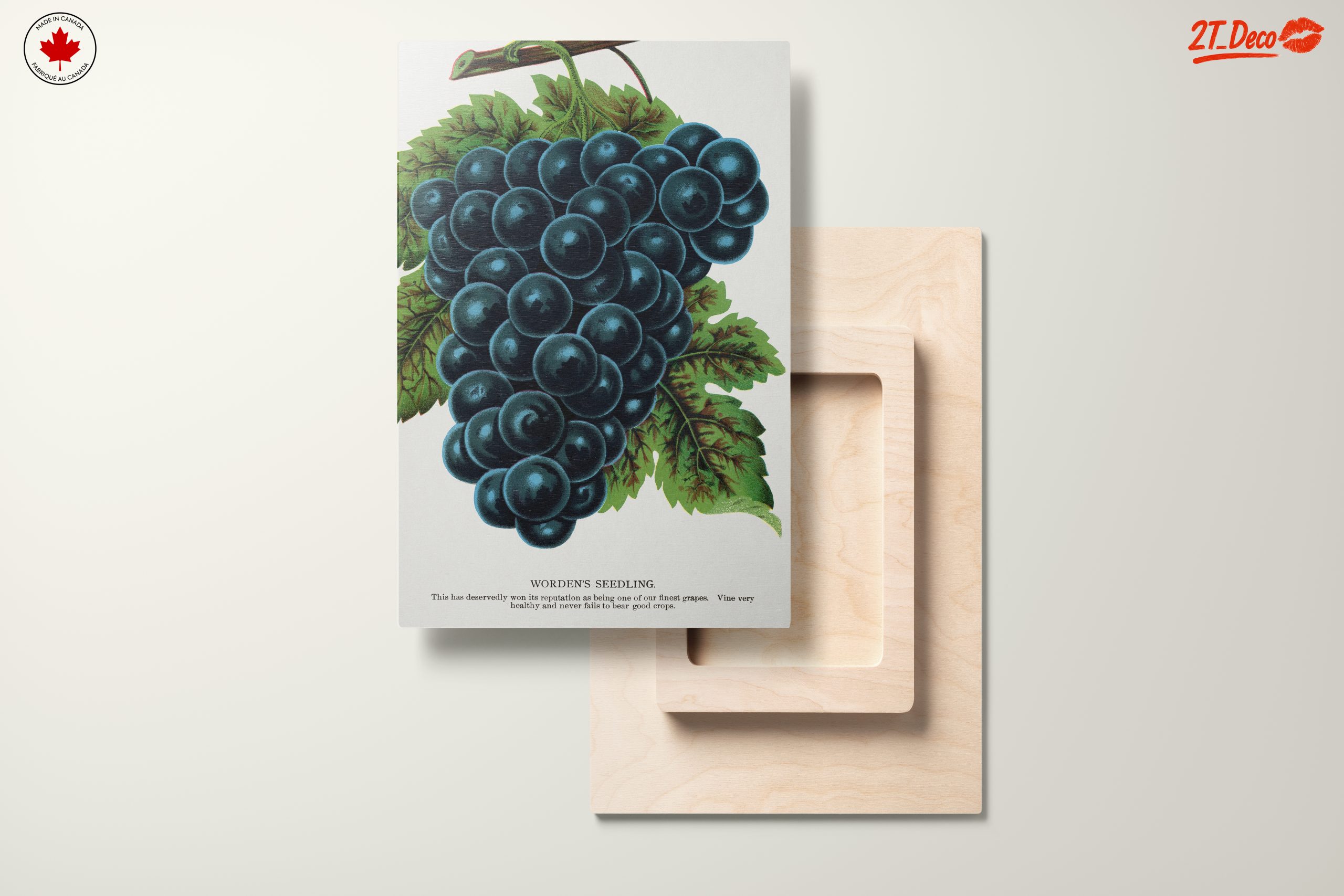 Abstract Grapes Art For Home Decor - Image 11
