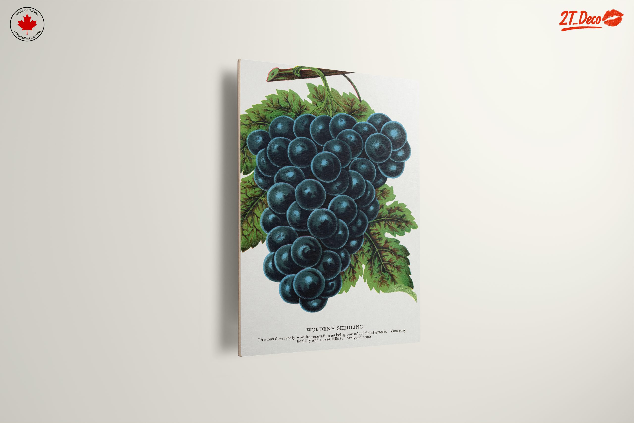 Abstract Grapes Art For Home Decor - Image 13