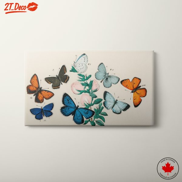 Beautiful Butterfly Illustrations on Floral Background