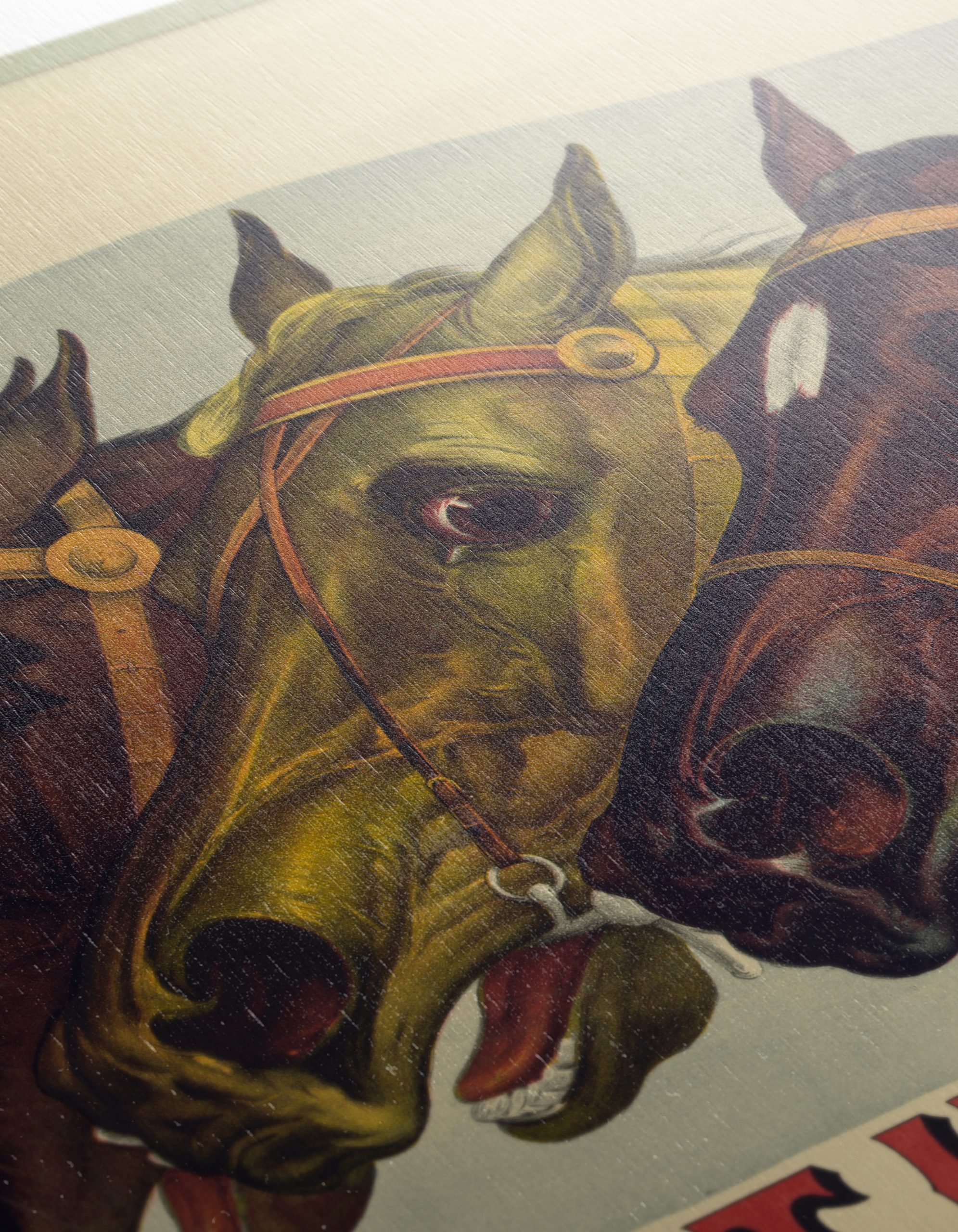 Horses Head Portraits in Colorful Style - Image 12