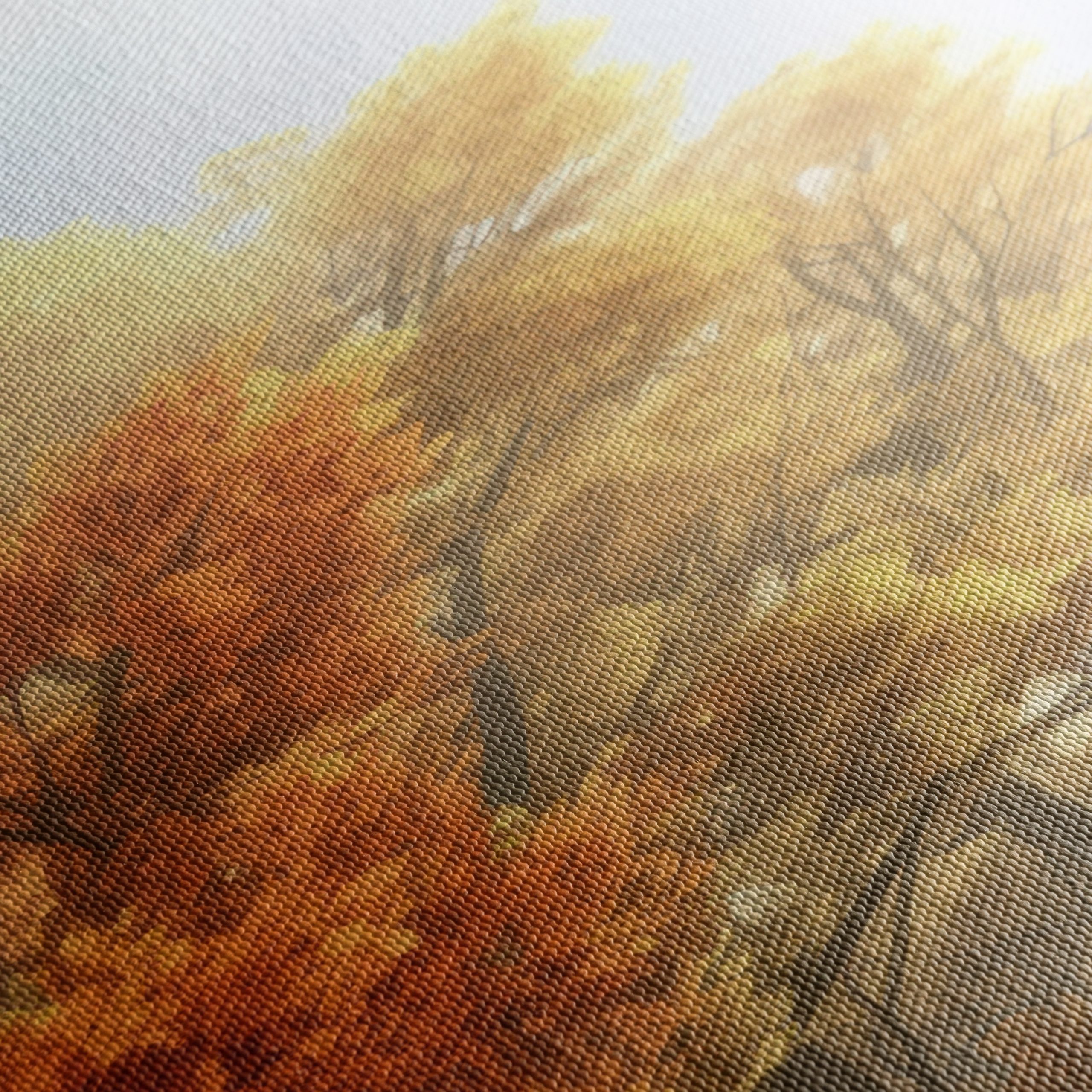 Serene Autumn Forest Landscape - Image 5