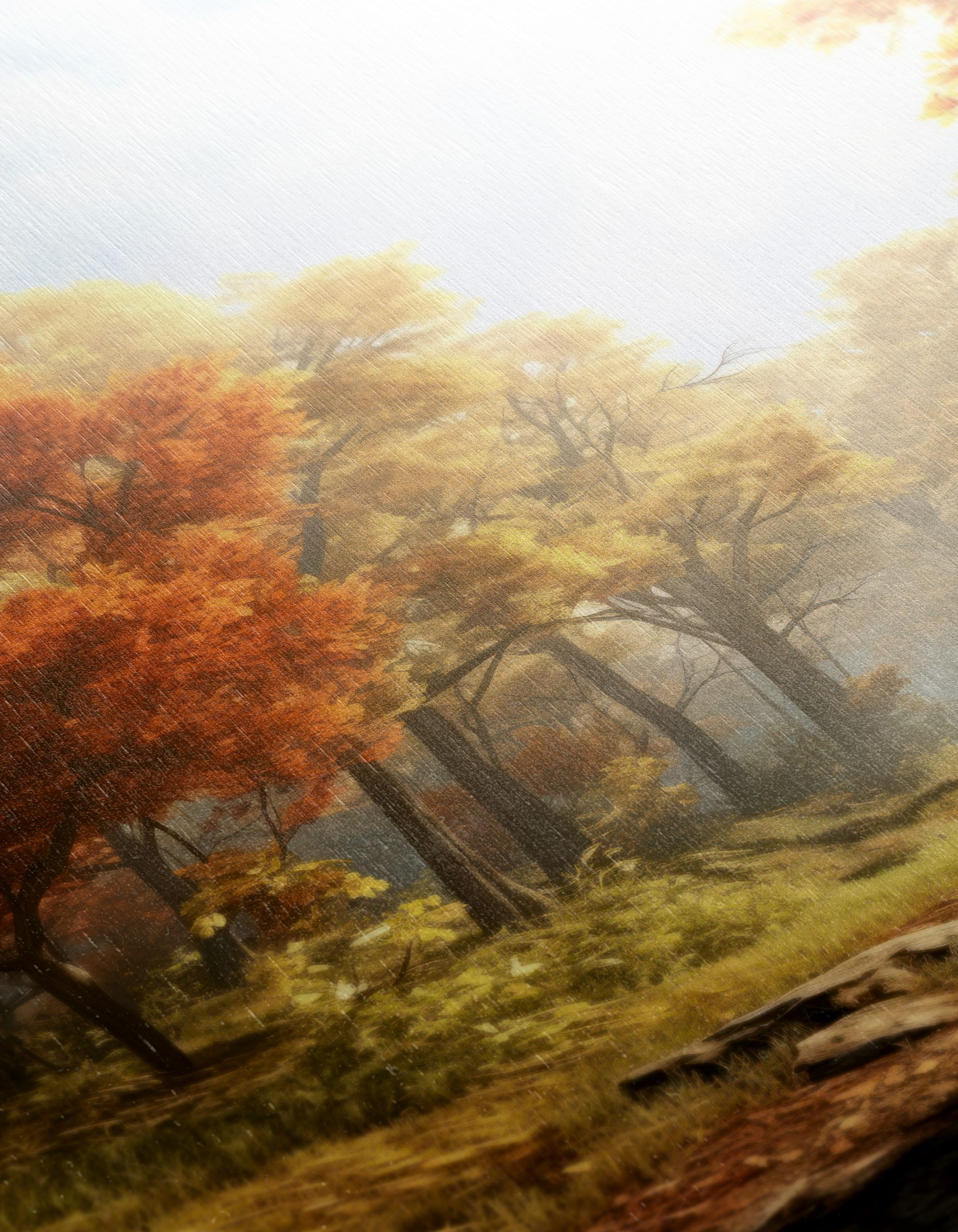 Serene Autumn Forest Landscape - Image 12