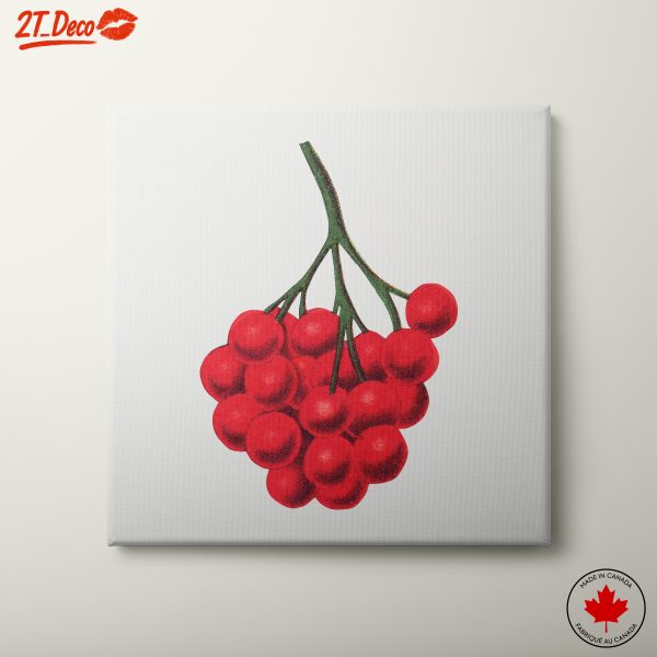 Red Berry Botanical Illustration